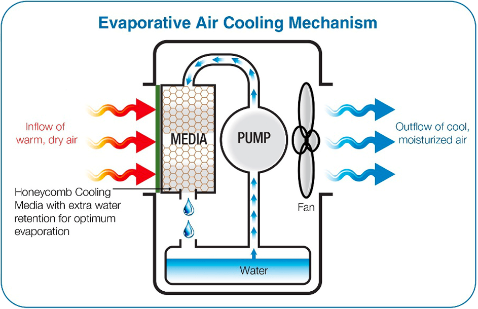 honeycomb aircooler mechanism